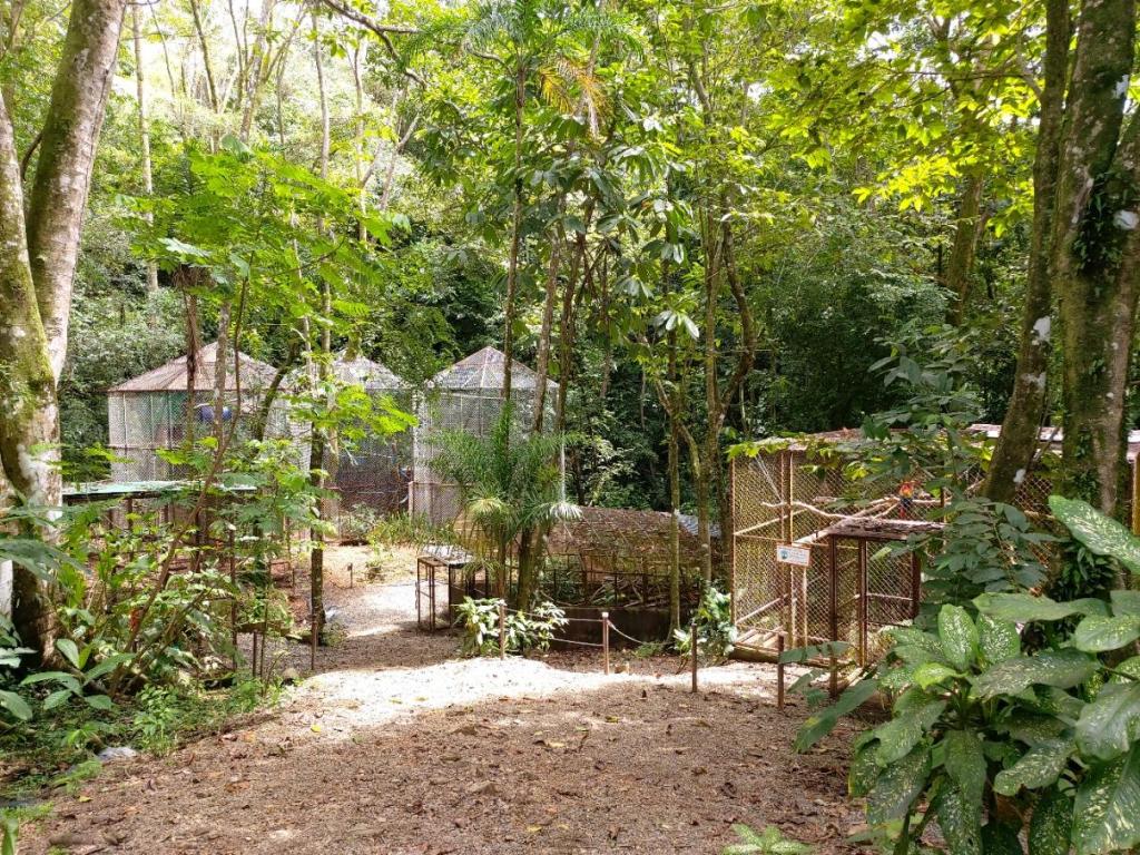 Alturas Wildlife Sanctuary Costa Rica