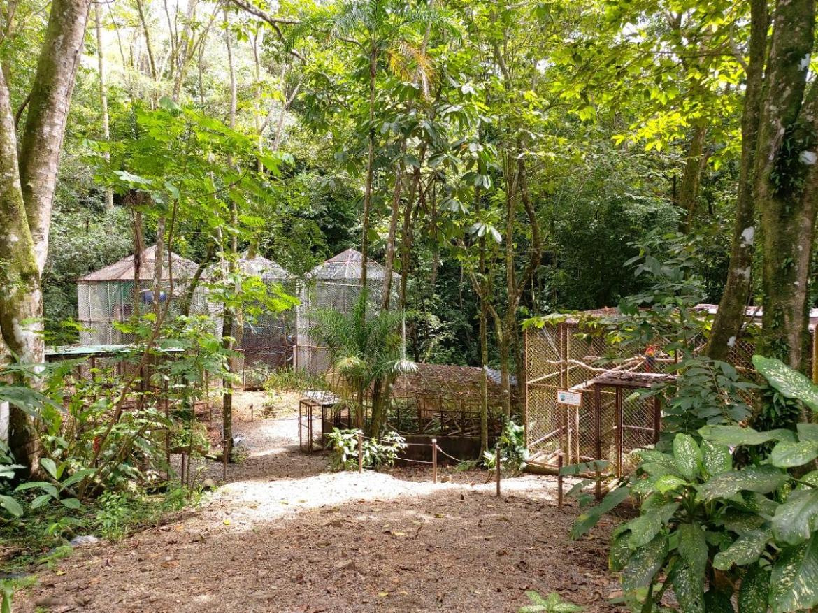 Alturas Wildlife Sanctuary Costa Rica
