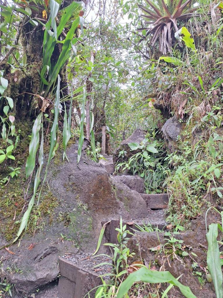 stenen en planten langs wandelpad van mirador el silencio