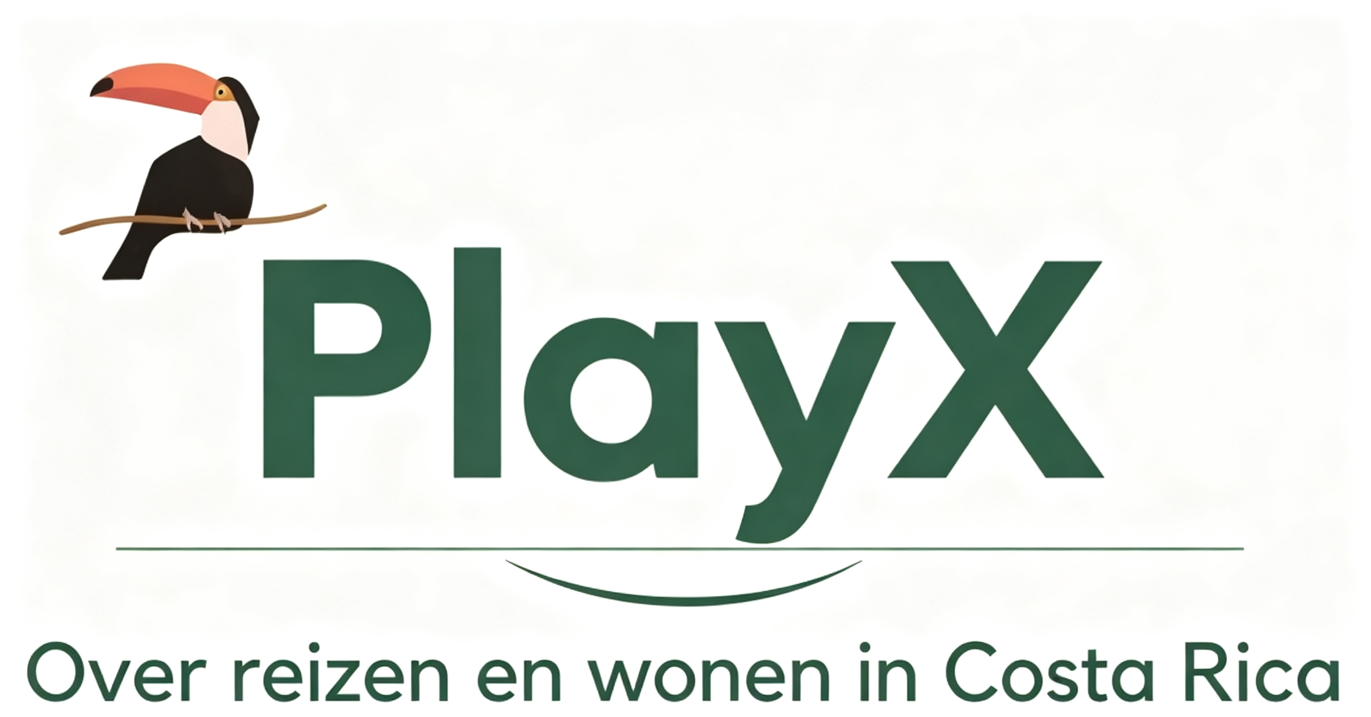 PlayX