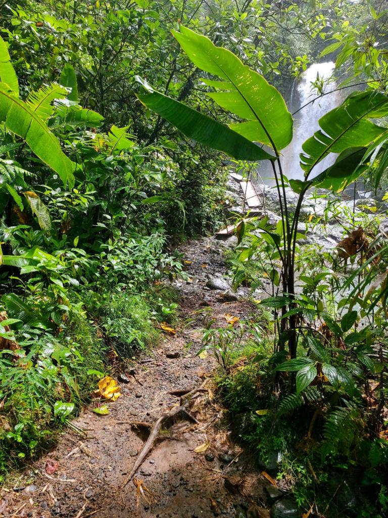 Blue falls of Costa Rica