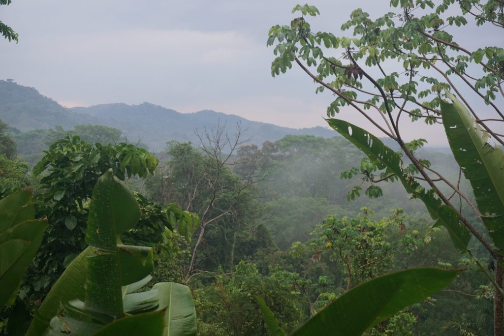 costa rica regenseizoen