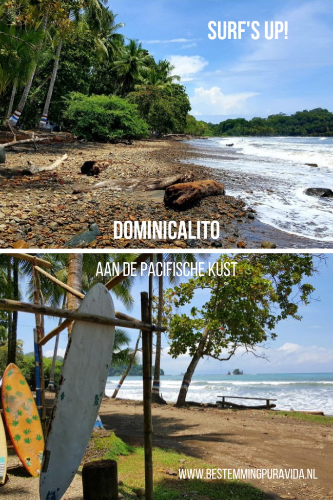 Dominicalito Dominical