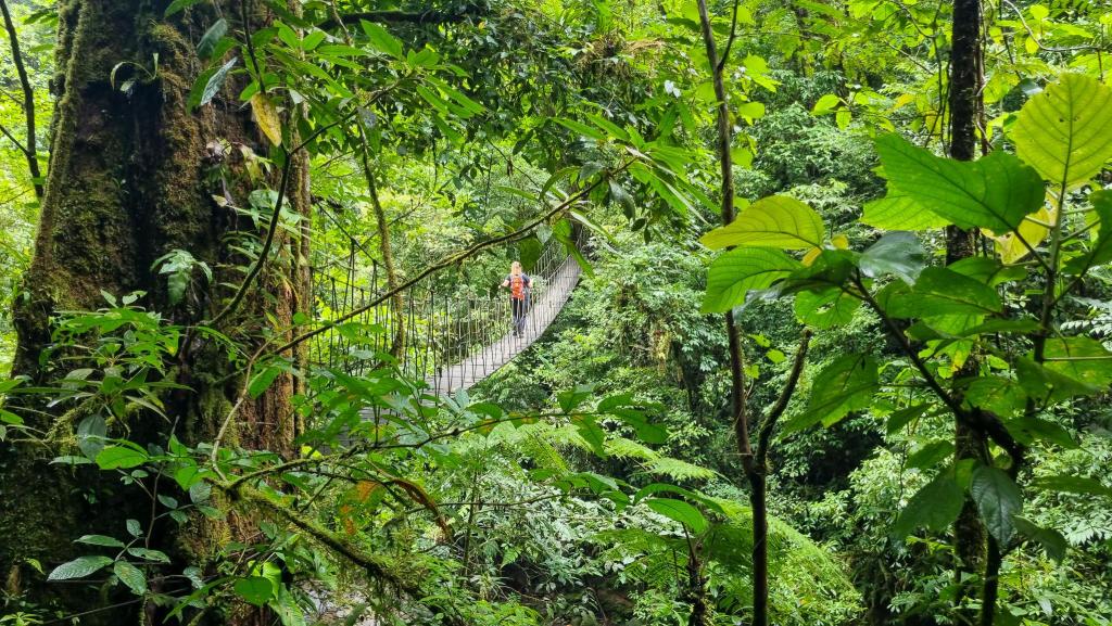 El Tigre Waterfalls Monteverde Costa Rica