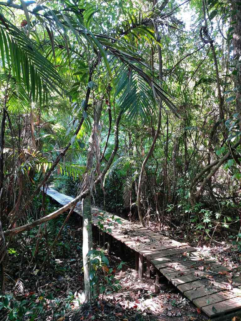 wandelpad met bruggetje in Hacienda Baru
