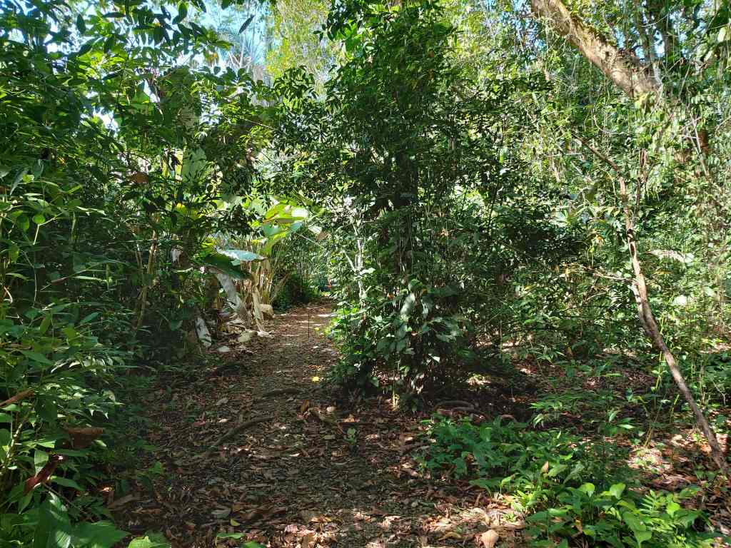 wandelpad in Hacienda Baru