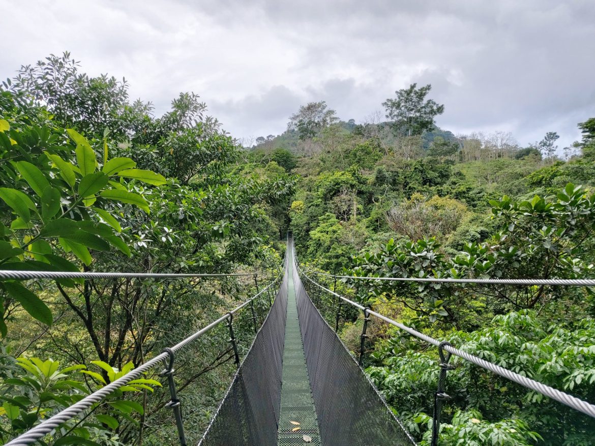 Hangbruggen Costa Rica