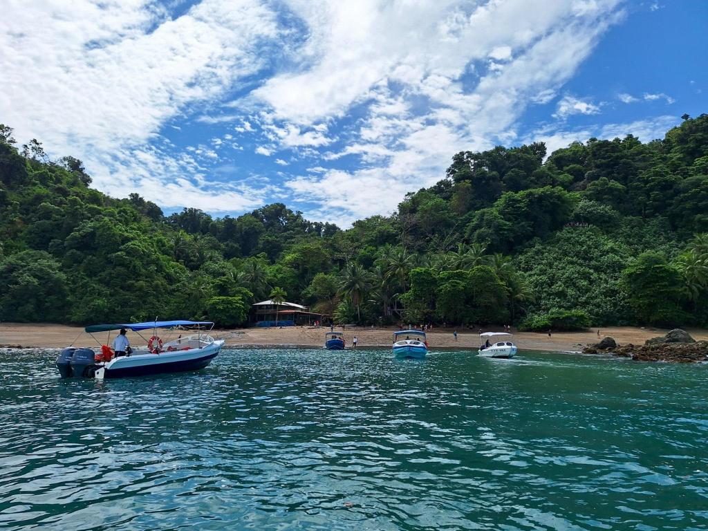 snorkelen bij isla del caño costa rica in februari
