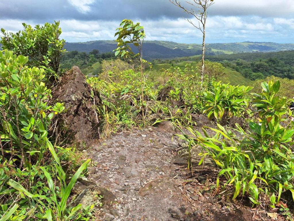 mirador el silencio la fortuna