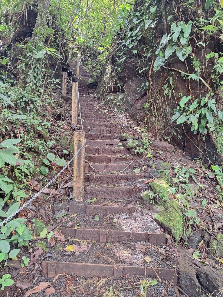 trap bij mirador el silencio