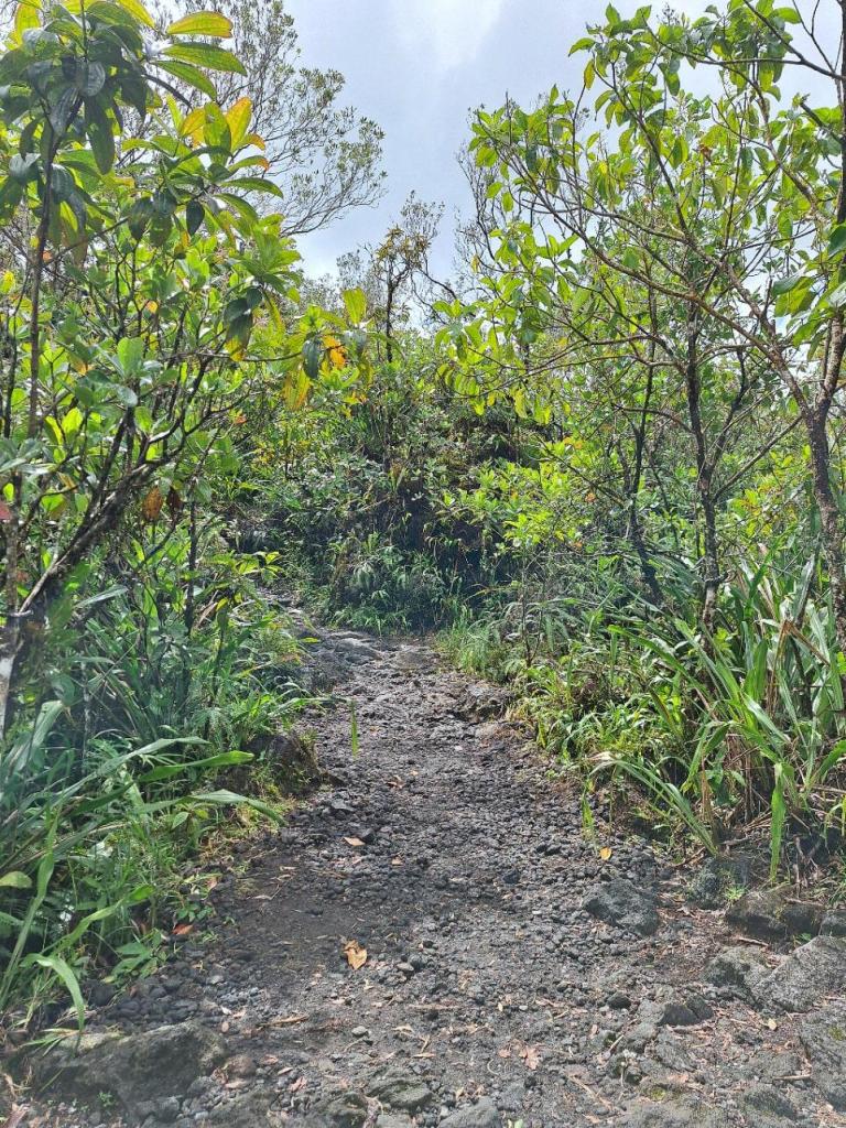 wandelpad bij mirador el silencio