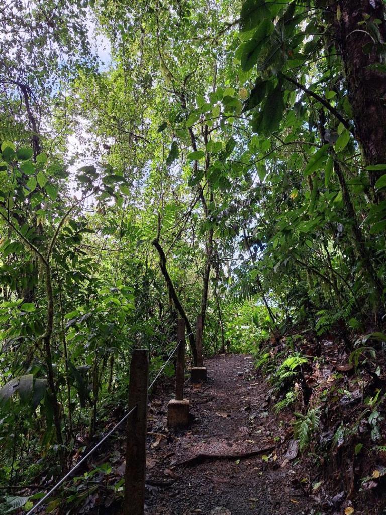 wandelpad mirador el silencio
