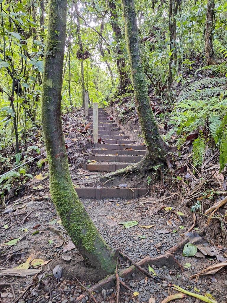 trap omhoog bij mirador el silencio