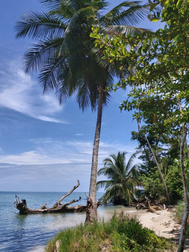 Nationaal park Cahuita
