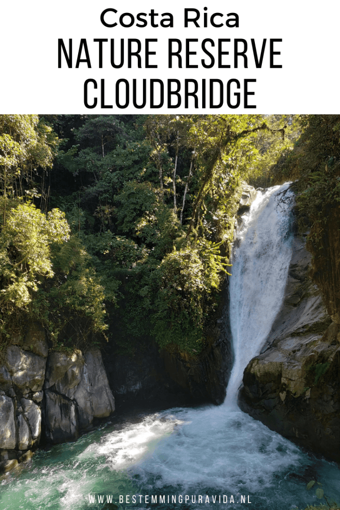 Nature Reserve Cloudbridge