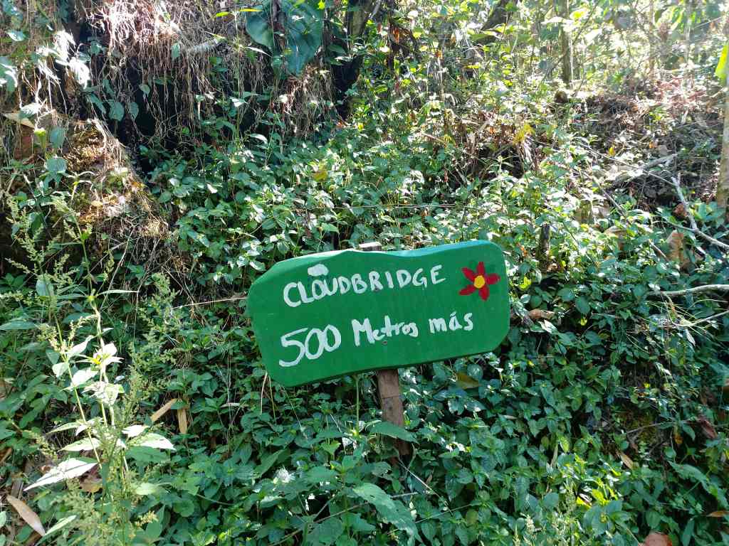 Nature Reserve Cloudbridge