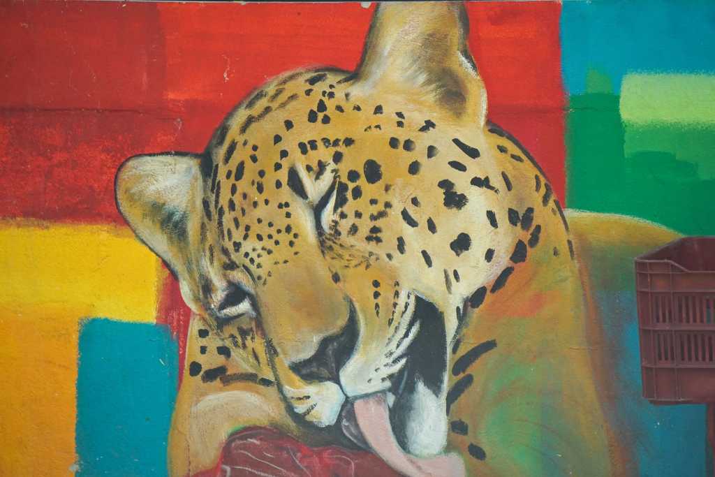 schildering Las Pumas Rescue Center
