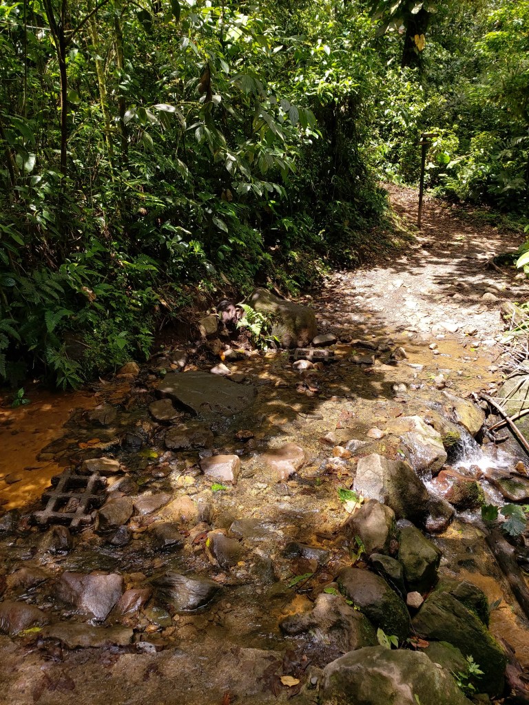 wandelpad naar Rio Celeste