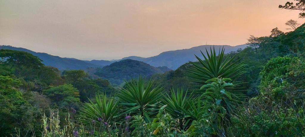 San Luis Monteverde Costa Rica