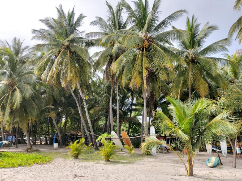 Schiereiland Nicoya
