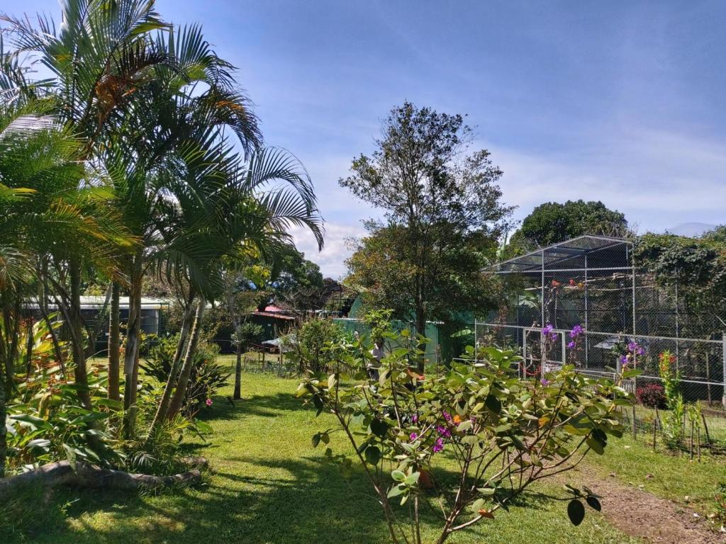 Toucan Rescue Ranch