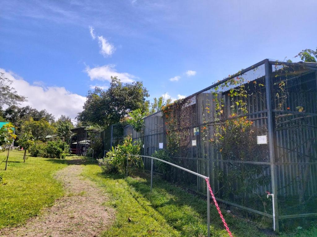 Toucan Rescue Ranch