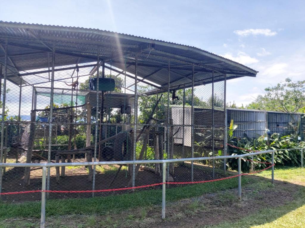 Toucan Rescue Ranch