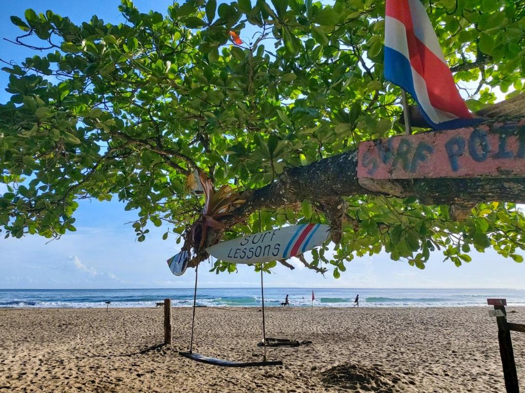 wat te doen vanuit Puerto Viejo de Talamanca